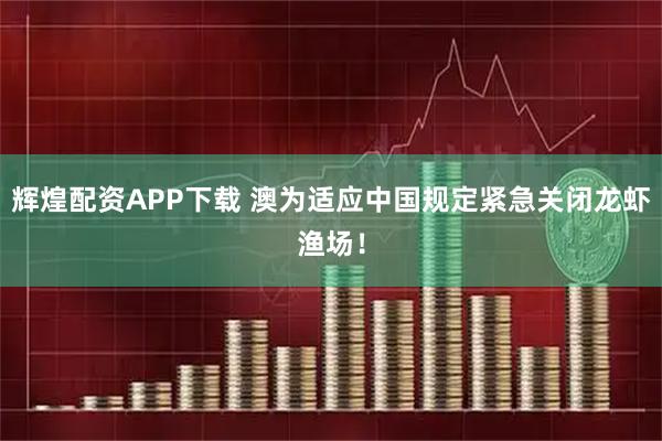 辉煌配资APP下载 澳为适应中国规定紧急关闭龙虾渔场！
