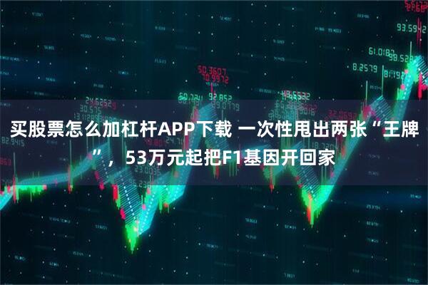 买股票怎么加杠杆APP下载 一次性甩出两张“王牌”，53万元起把F1基因开回家