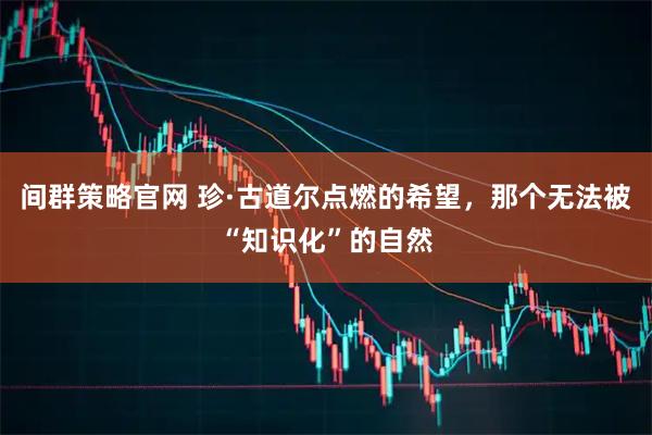 间群策略官网 珍·古道尔点燃的希望，那个无法被“知识化”的自然