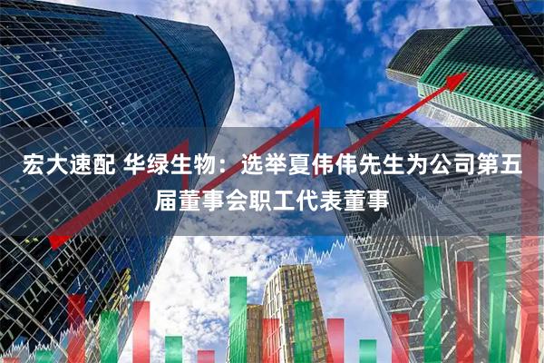 宏大速配 华绿生物：选举夏伟伟先生为公司第五届董事会职工代表董事